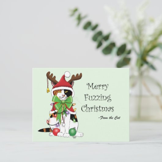 Grappige Kerstmis Calico Kat Briefkaart (Staand voorkant)