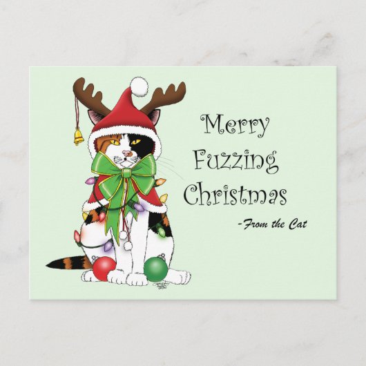 Grappige Kerstmis Calico Kat Briefkaart (Voorkant)