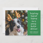 Grappige Kerstmis Cheer Hond Foto Feestdagenkaart (Voorkant)
