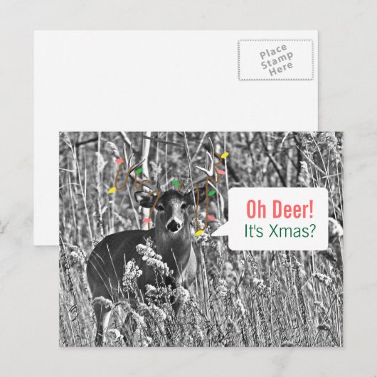 Grappige Kerstmis - Herten met de Lichten van Feestdagenkaart (Voorkant / Achterkant)