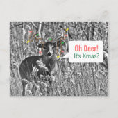 Grappige Kerstmis - Herten met de Lichten van Feestdagenkaart (Voorkant)