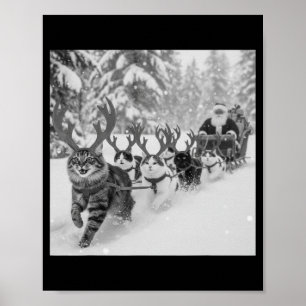 Grappige Kerstmis Kerstman slee Cats Rendier Selfi Poster