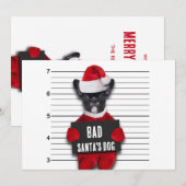 Grappige Kerstmis Mugshot van de Hond van Slechte Feestdagenkaart (Voorkant / Achterkant)