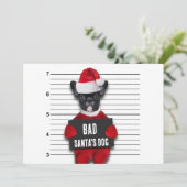 Grappige Kerstmis Mugshot van de Hond van Slechte Feestdagenkaart (Staand voorkant)
