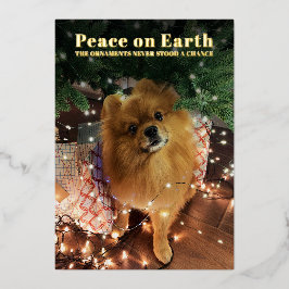 Grappige Kerstmis Pomeränische hond Vrede op aard Folie Feestdagenkaart