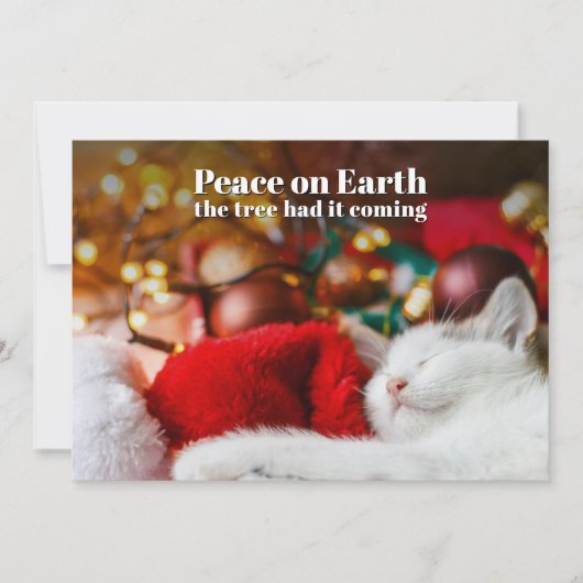Grappige Kerstmis Slapende Kat Vrede op Aarde  Feestdagenkaart (Voorkant)