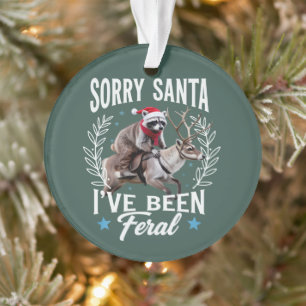 Grappige Kerstmis Sorry Santa Ik Ben een Wilde Was Ornament
