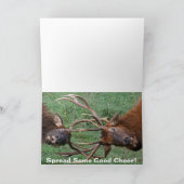 Grappige Kerstmis van de Elanden van de Stier Feestdagen Kaart (Binnen)