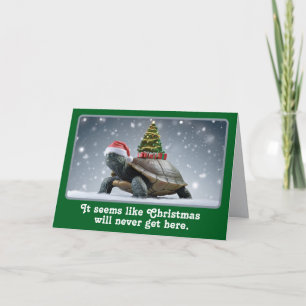 Grappige Kerstschildpad Vakantie Kaart