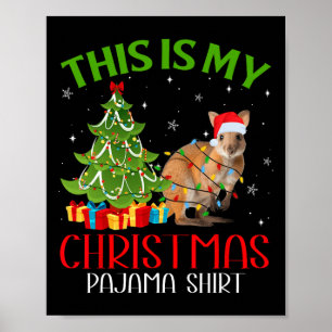 Grappige kerstverlichting Dit is mijn kangoeroe Ch Poster