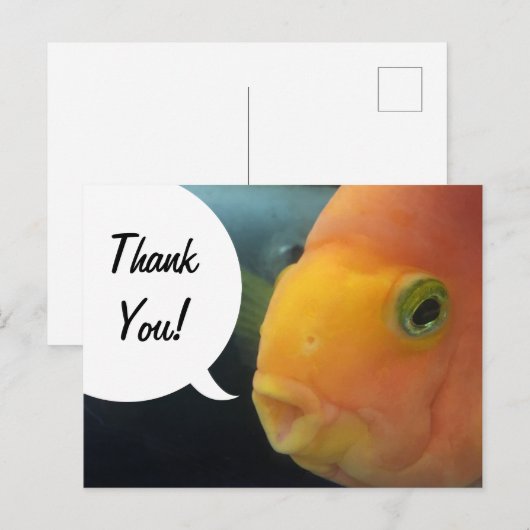 Grappige Kiekeboe Vis Bedankt Briefkaart (Voorkant / Achterkant)
