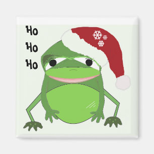 Grappige kikker met een kerstmuts magneet