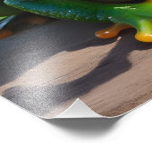 Grappige kikker met zonnebril foto afdruk (Hoek)