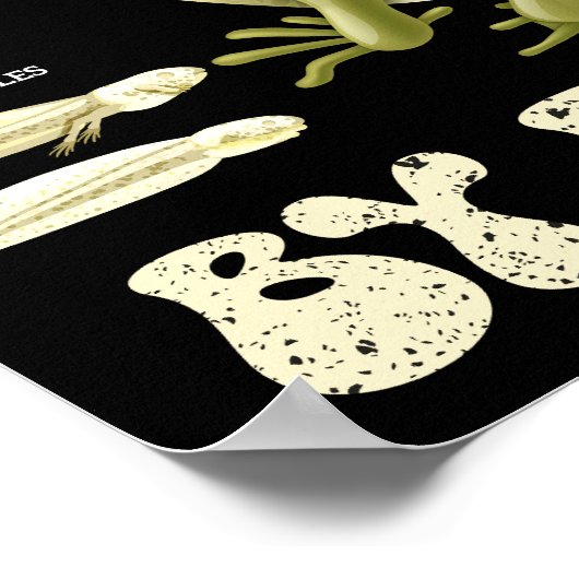 Grappige kikkerliefhebber gemakkelijk afgeleid doo poster (Hoek)