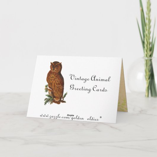 Grappige  kikkers kaart (Achterkant)