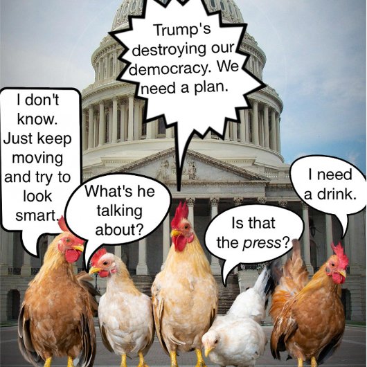 Grappige kip Democraten politieke humor T-shirt