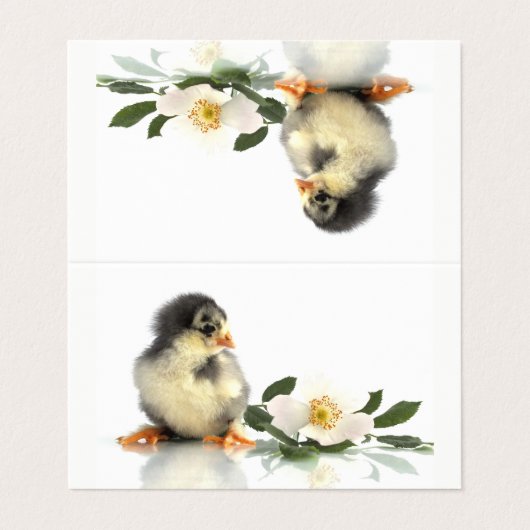 grappige kip ・ Gevouwen Visitekaartjes (Buitenkant ongevouwen)