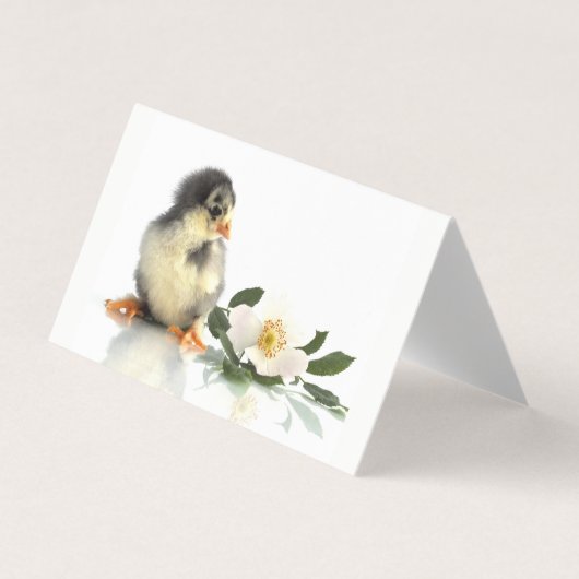 grappige kip ・ Gevouwen Visitekaartjes (Voorkant)