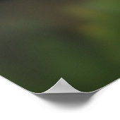 Grappige Kip met Grote Ogen Close-Up Poster (Hoek)