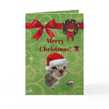 grappige kitten kerstkaart