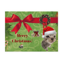 grappige kitten kerstkaart