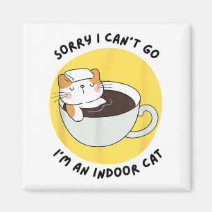 Grappige kitten sorry dat ik niet kan gaan ik ben  magneet