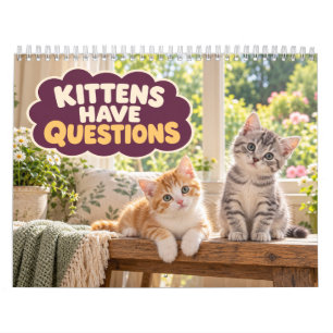 Grappige Kittens Hebben Vragen Kalender