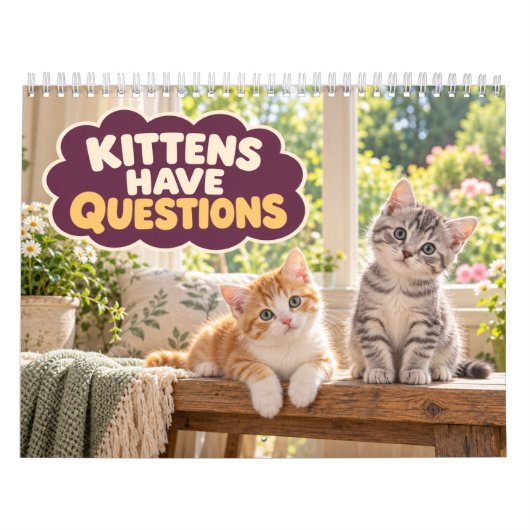 Grappige Kittens Hebben Vragen Kalender (Hoes)