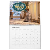 Grappige Kittens Hebben Vragen Kalender (Jan 2027)