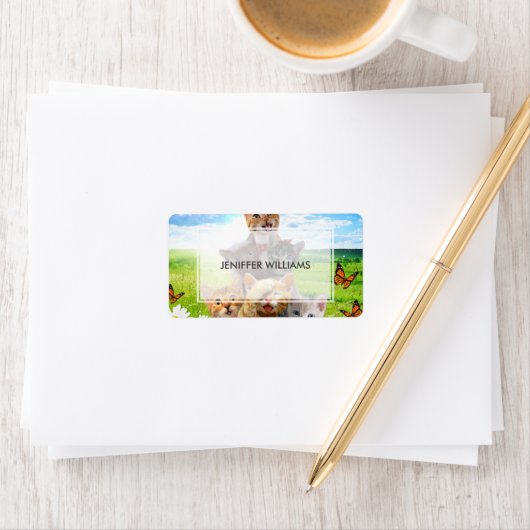 Grappige kittens in het groene veld. etiket (Insitu)