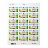 Grappige kittens in het groene veld. etiket (Full Sheet)