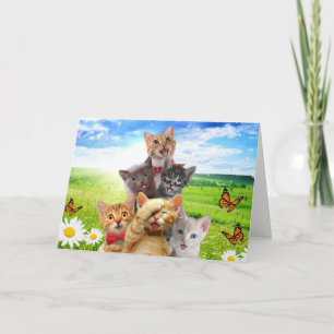Grappige kittens in het groene veld. kaart