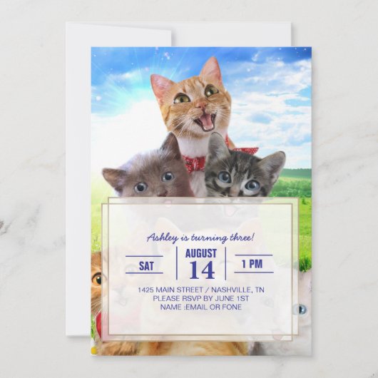Grappige kittens in het groene veld. kaart (Voorkant)