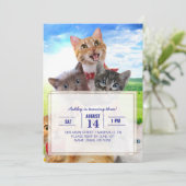 Grappige kittens in het groene veld. kaart (Staand voorkant)