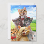 Grappige kittens in het groene veld. kaart (Achterkant)