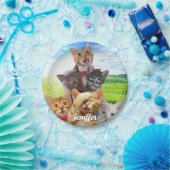 Grappige kittens in het groene veld. papieren bordje (Feest)