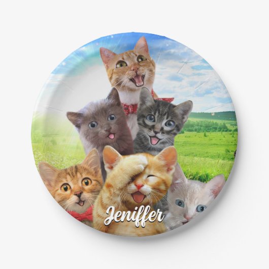 Grappige kittens in het groene veld. papieren bordje (Voorkant)