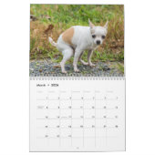 Grappige kleine honden poepen 2025 kalender (Mar 2026)