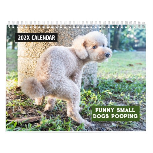 Grappige kleine honden poepen 2025 kalender (Hoes)