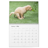 Grappige kleine honden poepen 2025 kalender (Jan 2026)