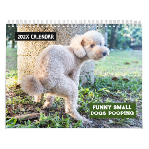 Grappige kleine honden poepen 2025 kalender