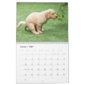 Grappige kleine honden poepen 2025 kalender (Jan 2027)
