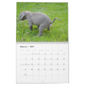 Grappige kleine honden poepen 2025 kalender (Feb 2027)