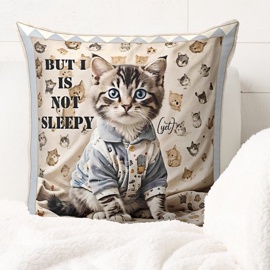 Grappige Knuffelachtige Kitten Slaapkamerdier Kuns Kussen