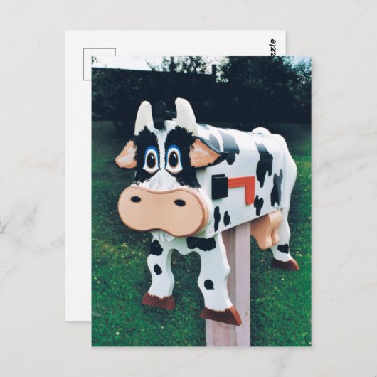 Grappige koe mailbox foto briefkaart (Voorkant / Achterkant)
