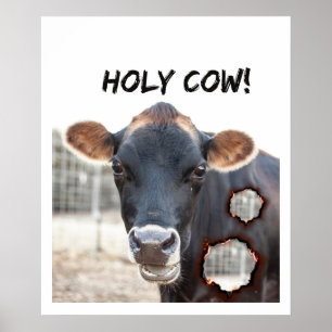 grappige koe muurdecoratie poster