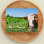 Grappige Koe, nieuw huis, aangepaste adres, we zij Briefkaart<br><div class="desc">Laat je familie en vrienden weten dat je verhuisd bent en heb een nieuw adres met dit briefkaart met een koe gezegde "We've Mooved" - voeg een aangepaste notitie en een nieuw adres toe aan de achterkant. Grappig,  modern,  eenvoudig en gemakkelijk - de perfecte bewegende kaart.</div>