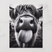 Grappige Koe Zwart-wit Briefkaart (Voorkant)