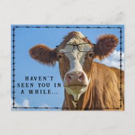 Grappige Koeienbril Country Western Ranchers-verha Briefkaart