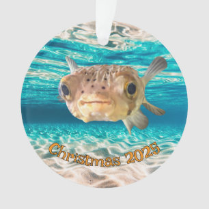 Grappige kogelvis Waarschuwing: kan puffen onder d Ornament